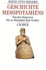 Buchcover Geschichte Mesopotamiens