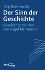 Buchcover Der Sinn der Geschichte