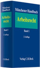 Buchcover Münchener Handbuch zum Arbeitsrecht / Münchener Handbuch zum Arbeitsrecht Bd. 1: Individualarbeitsrecht