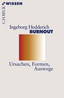 Buchcover Burnout