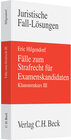 Buchcover Fälle zum Strafrecht für Examenskandidaten