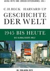 Buchcover Geschichte der Welt 1945 bis heute