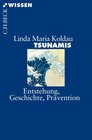 Buchcover Tsunamis