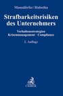 Buchcover Strafbarkeitsrisiken des Unternehmers