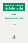 Münchener Handbuch zum Arbeitsrecht Bd. 1: Individualarbeitsrecht I width=