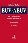 Buchcover EUV/AEUV
