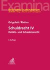 Buchcover Schuldrecht IV