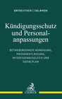 Buchcover Kündigungsschutz und Personalanpassungen