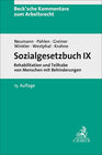 Buchcover Sozialgesetzbuch IX