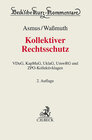 Buchcover Kollektiver Rechtsschutz