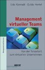 Buchcover Management virtueller Teams