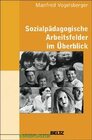 Buchcover Sozialpädagogische Arbeitsfelder im Überblick