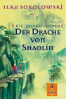 Buchcover Die Zeitreisenden: Der Drache von Shaolin