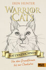 Buchcover Warrior Cats - Katzenzeichnen