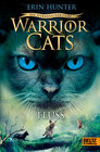 Buchcover Warrior Cats - Ein sternenloser Clan. Fluss