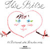 Buchcover Ilse Bilse