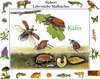 Buchcover Käfer