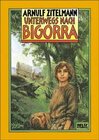 Buchcover Unterwegs nach Bigorra