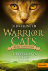 Buchcover Warrior Cats - Short Adventure - Tüpfelblatts Herz