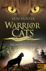 Buchcover Warrior Cats - Special Adventure. Brombeersterns Aufstieg