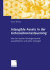 Buchcover Intangible Assets in der Unternehmenssteuerung