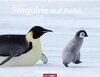 Buchcover Weingarten-Kalender Pinguine auf Reise 2009