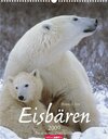 Buchcover Weingarten-Kalender Eisbären 2009