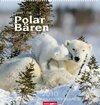 Buchcover Weingarten-Kalender Polarbären 2010