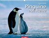 Buchcover Weingarten-Kalender Pinguine auf Reise 2010