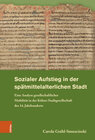 Buchcover Sozialer Aufstieg in der spätmittelalterlichen Stadt