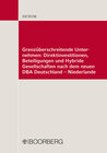 Buchcover Grenzüberschreitende Unternehmen: Direktinvestitionen, Beteiligungen und Hybride Gesellschaften nach dem neuen DBA Deuts