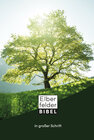 Buchcover Elberfelder Bibel in großer Schrift