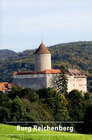 Buchcover Burg Reichenberg