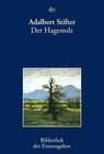 Buchcover Der Hagestolz