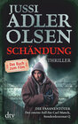 Buchcover Schändung