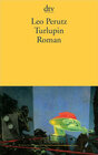 Buchcover Turlupin