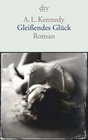 Buchcover Gleißendes Glück