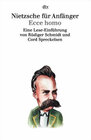 Buchcover Nietzsche für Anfänger