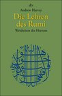 Buchcover Die Lehren des Rumi