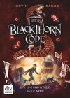 Buchcover Der Blackthorn-Code – Die schwarze Gefahr