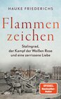 Buchcover Flammenzeichen