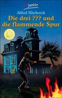 Buchcover Die drei ??? und die flammende Spur