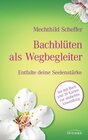 Buchcover Bachblüten als Wegbegleiter-Set