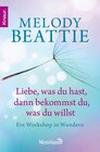 Buchcover Liebe, was du hast, dann bekommst du, was du willst