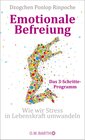 Buchcover Emotionale Befreiung