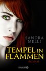 Buchcover Tempel in Flammen