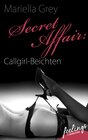 Buchcover Secret Affair: Callgirl-Beichten