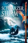 Buchcover Schwarzer Sturm