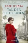 Buchcover Tal der Illusionen