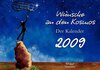 Buchcover Wünsche an den Kosmos